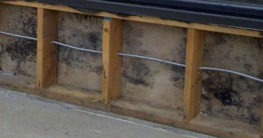 Open wall cavity with black mold growing on the framing and sheathing